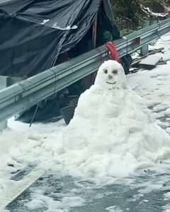 426257794_1050059592827622_5357658831411345147_n