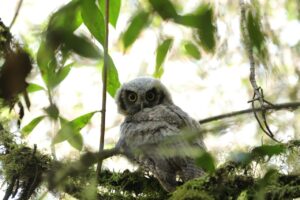 WhatsApp Image 2024-02-19 at 2.55.13 PM