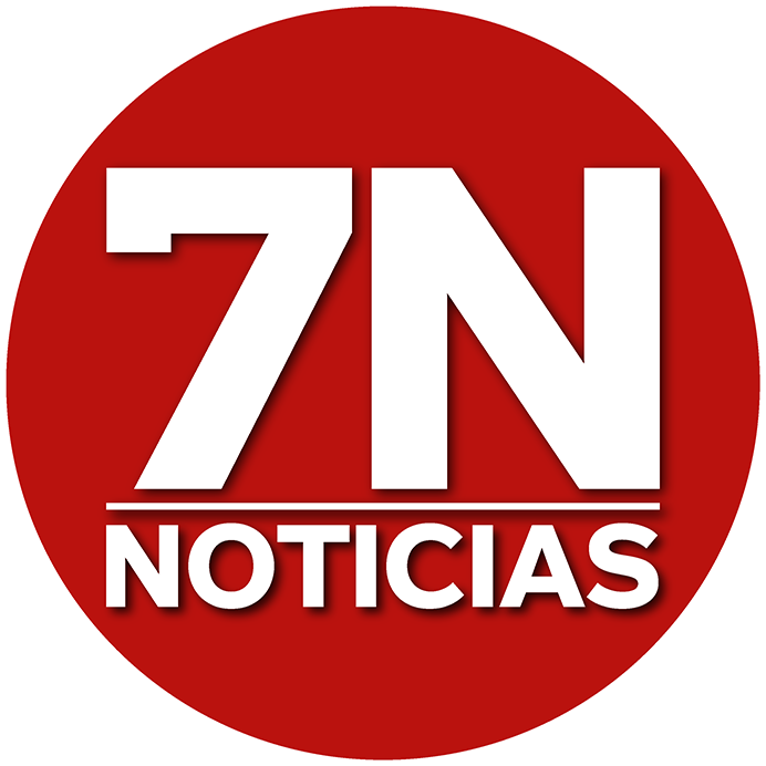 LOGO 7N WEB